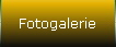 Fotogalerie
