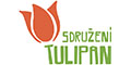 Tulipán